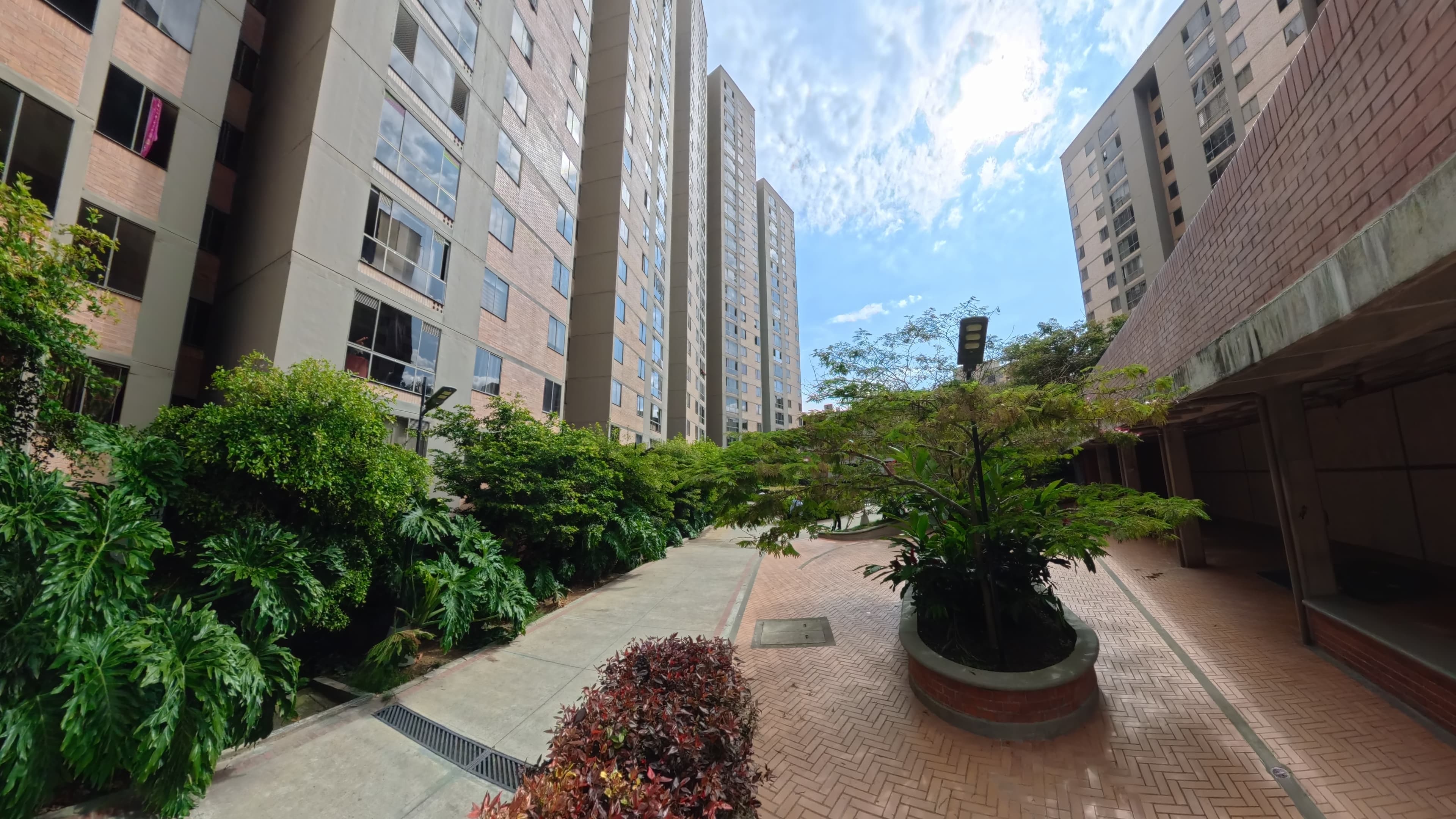 Majagua 2165 Torre 5 - Imagen 17