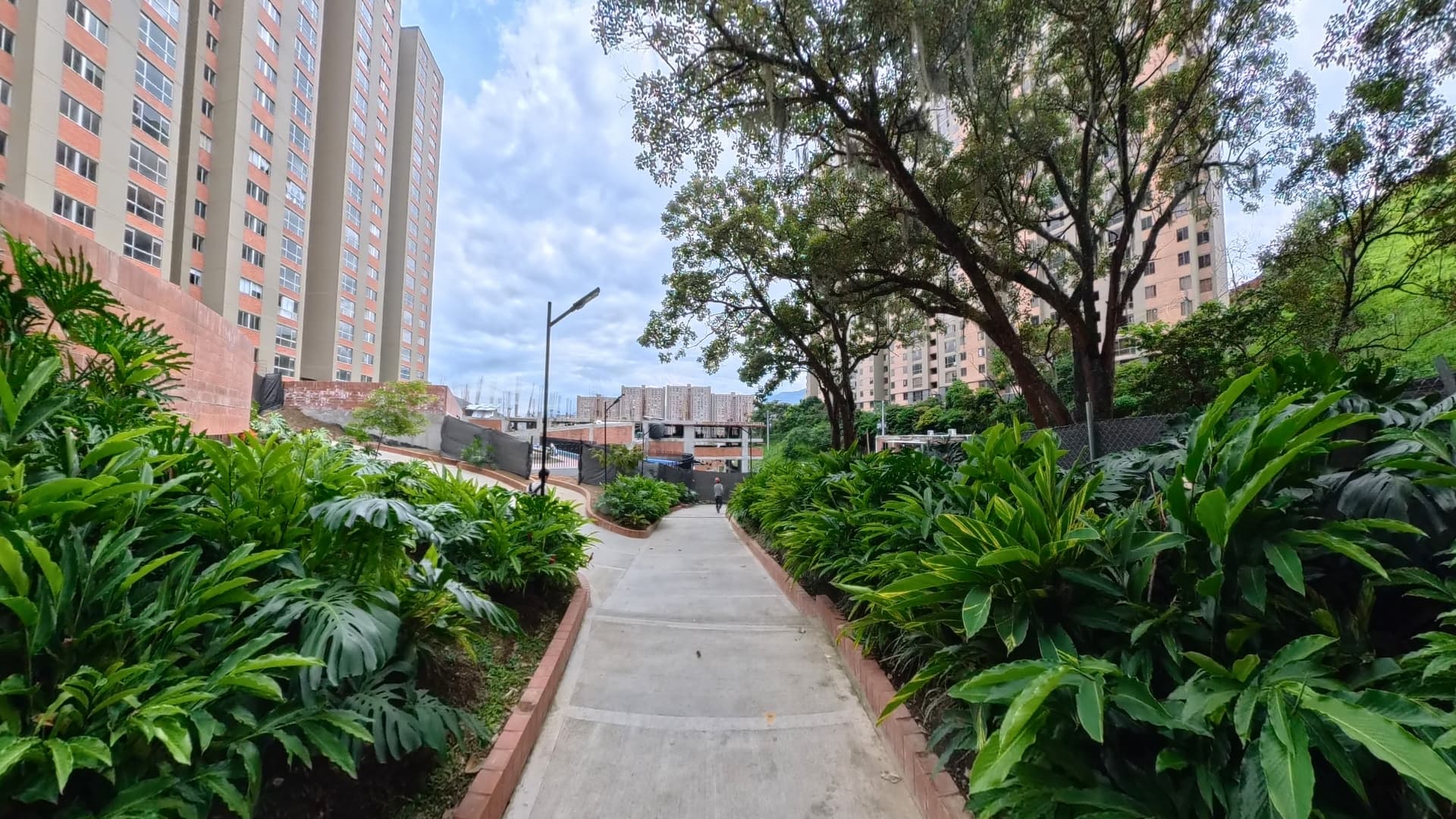 El Bosque 509 - Imagen 16
